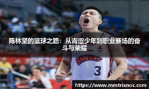 陈林坚的篮球之路：从青涩少年到职业赛场的奋斗与荣耀